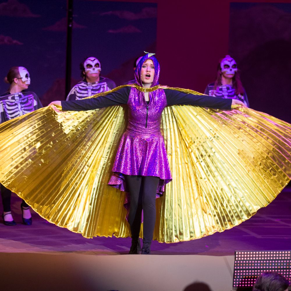 A stage performance with a student singing at the center. She is wearing a purple and gold costume