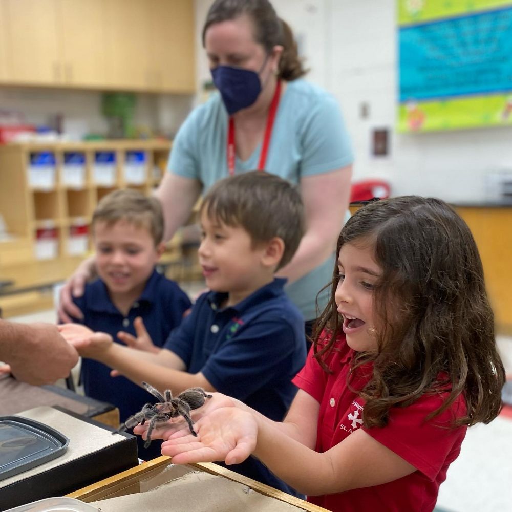 Kindergarten students in lesson handleing a tarantula 